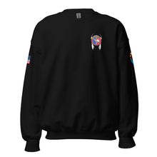 Load image into Gallery viewer, C CO 309th MI BN (Drill Sergeant - Sweater)
