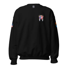 Load image into Gallery viewer, C CO 309th MI BN (Senior Instructor - Sweater)
