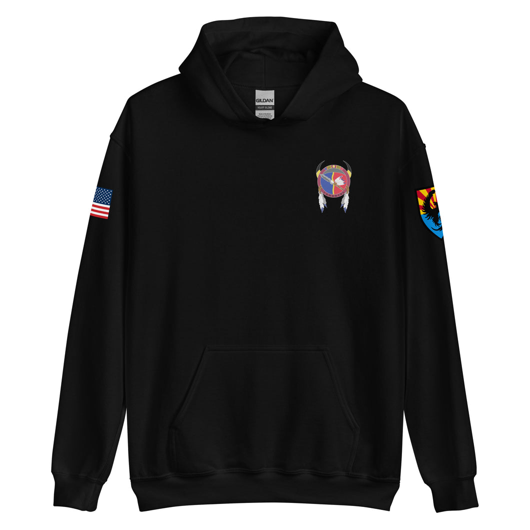 C CO 309th MI BN (Drill Sergeant - Hoodie)